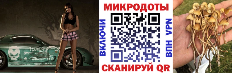 Псилоцибиновые грибы MAGIC MUSHROOMS Шагонар