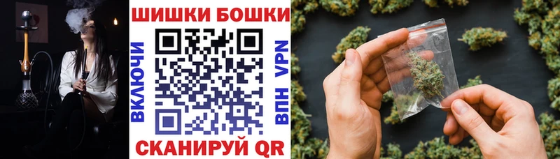 Каннабис OG Kush Шагонар